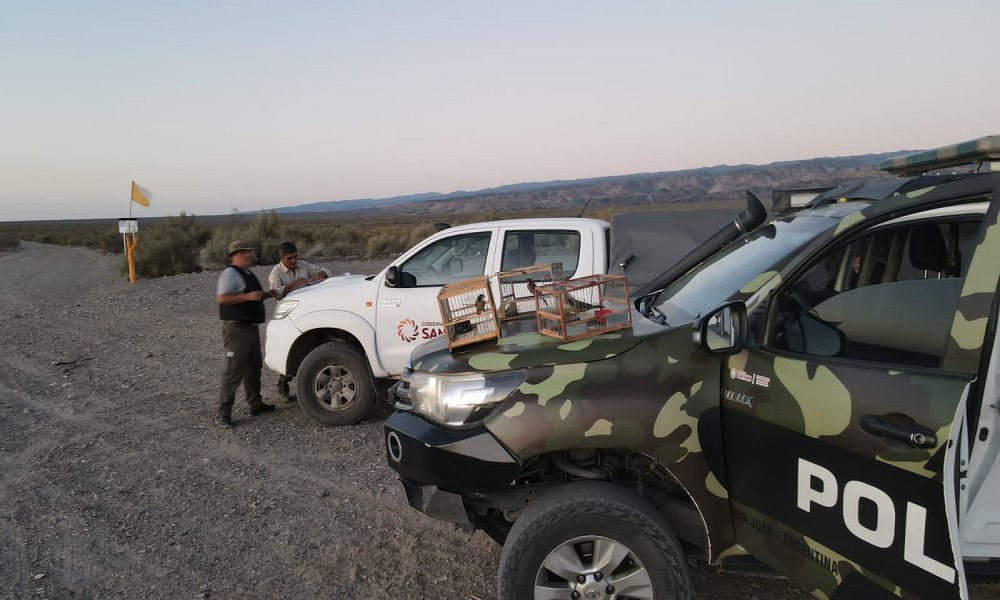 flora-y-fauna-provincial-1