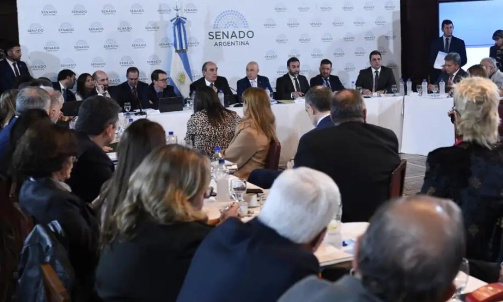tratamiento-de-ahora-en-el-senado-por-la-ley-bases-1797963